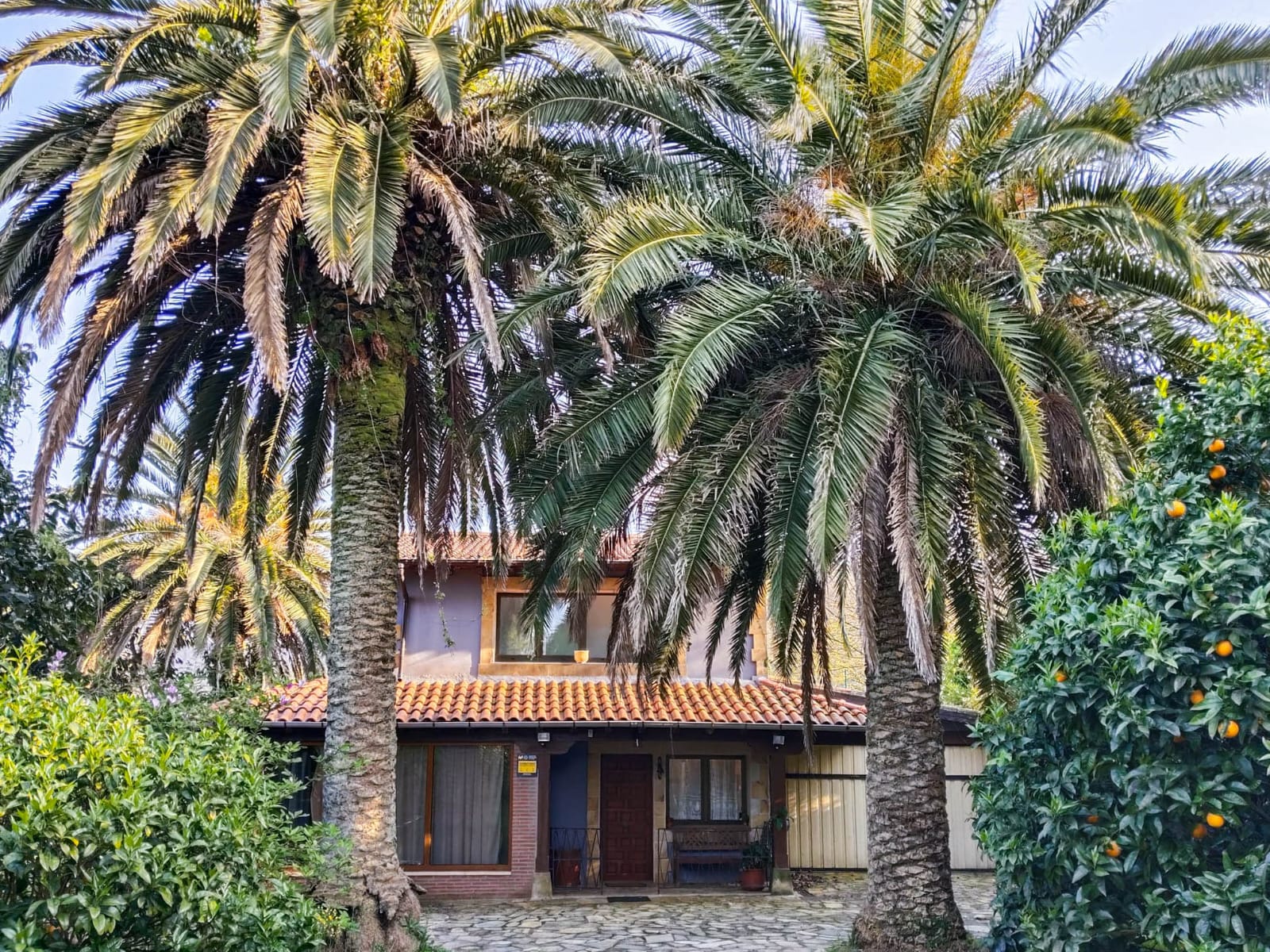 Casa Sebia - Fachada con palmeras en Cantabria